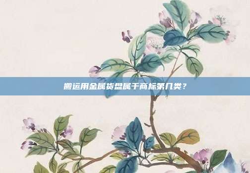 搬运用金属货盘属于商标第几类?