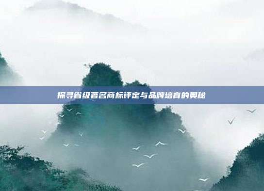 探寻省级著名商标评定与品牌培育的奥秘
