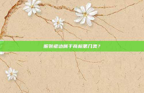 服装褶边属于商标第几类？