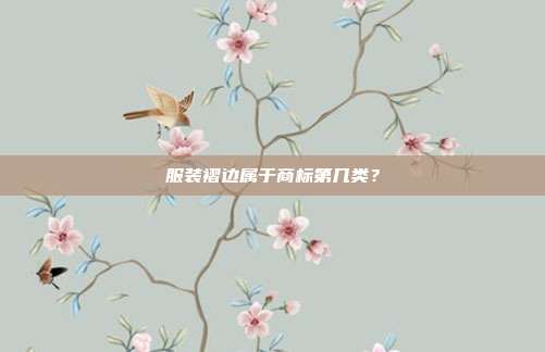 服装褶边属于商标第几类?