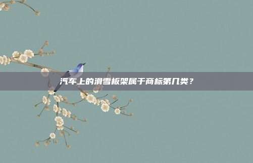 汽车上的滑雪板架属于商标第几类？
