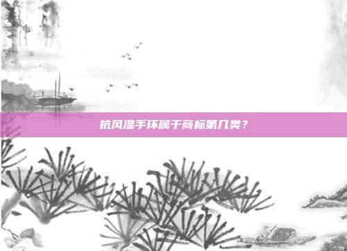 抗风湿手环属于商标第几类？
