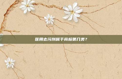 医用去污剂属于商标第几类？