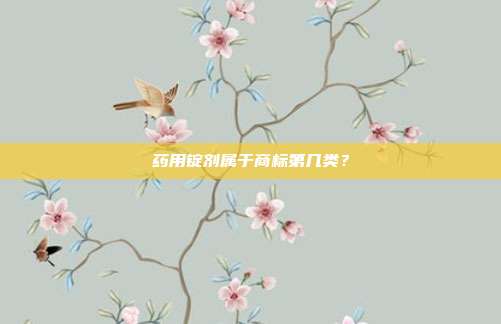 药用锭剂属于商标第几类？