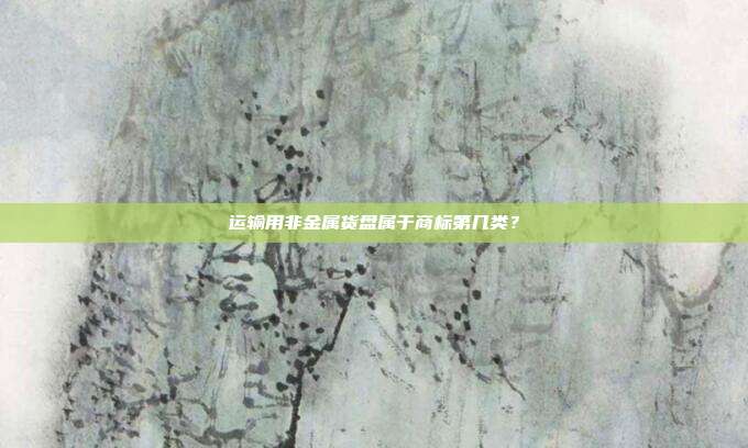 运输用非金属货盘属于商标第几类？