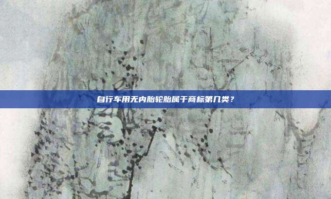 自行车用无内胎轮胎属于商标第几类？