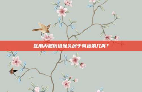医用内窥镜摄像头属于商标第几类？