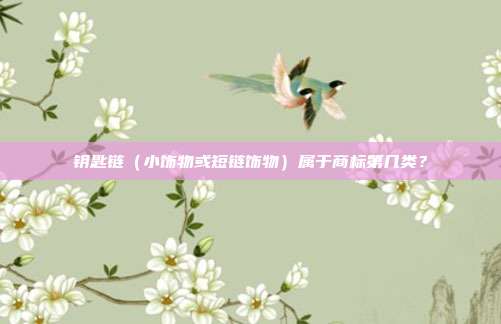 钥匙链（小饰物或短链饰物）属于商标第几类？