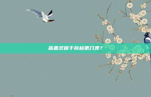 燕麦浆属于商标第几类?