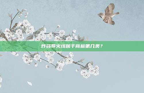 炸药导火线属于商标第几类?