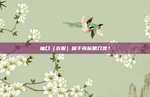 袖口(衣服)属于商标第几类?
