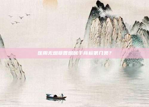 医用无烟草香烟属于商标第几类?