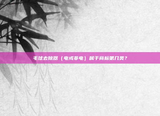 毛球去除器（电或非电）属于商标第几类？