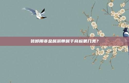 装卸用非金属吊带属于商标第几类？