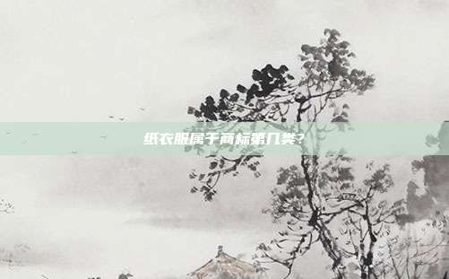 纸衣服属于商标第几类?