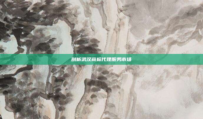 剖析武汉商标代理服务市场