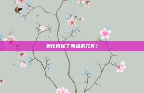 氯化钙属于商标第几类？