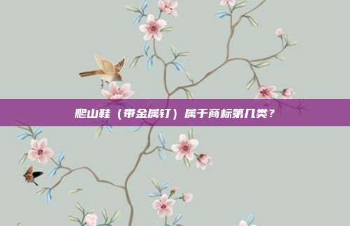 爬山鞋（带金属钉）属于商标第几类？