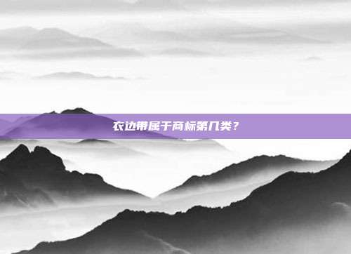 衣边带属于商标第几类？