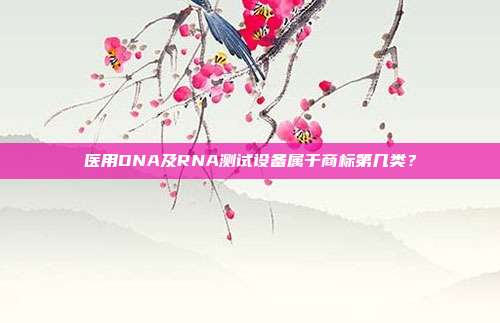 医用DNA及RNA测试设备属于商标第几类？