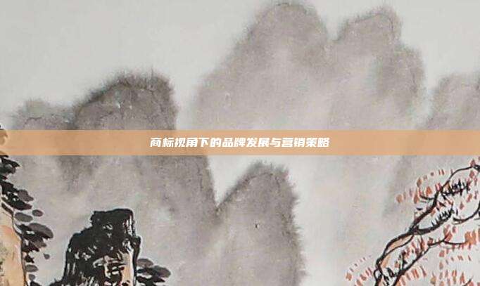 商标视角下的品牌发展与营销策略