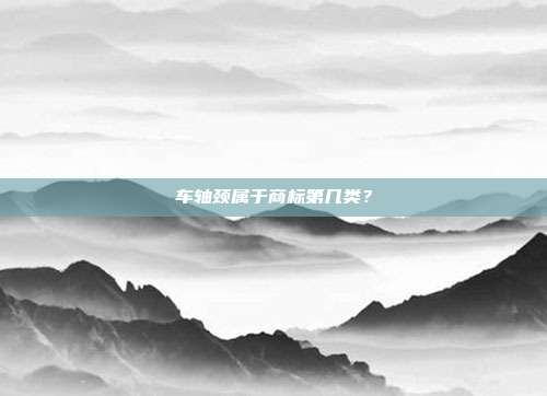 车轴颈属于商标第几类？