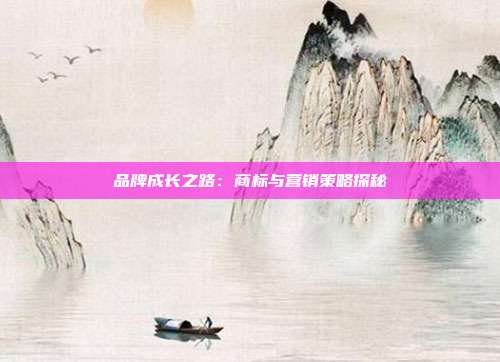 品牌成长之路:商标与营销策略探秘
