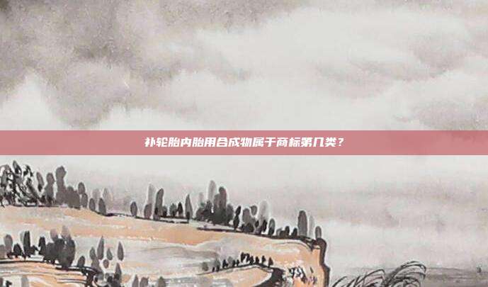 补轮胎内胎用合成物属于商标第几类？
