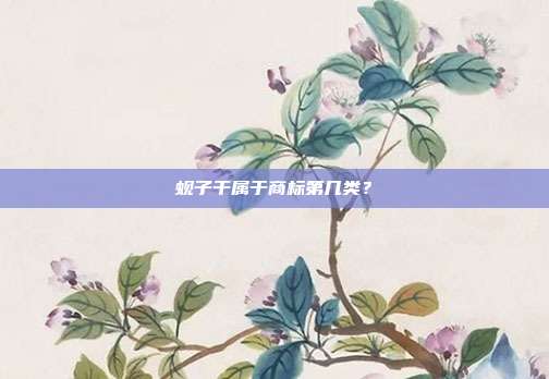 蚬子干属于商标第几类？