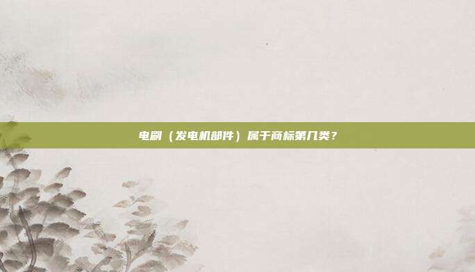 电刷（发电机部件）属于商标第几类？