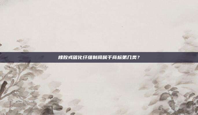 橡胶或硫化纤维制阀属于商标第几类?