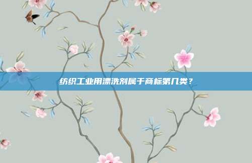 纺织工业用漂洗剂属于商标第几类？