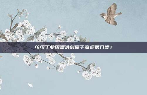 纺织工业用漂洗剂属于商标第几类？