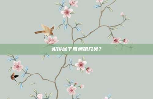 柑饼属于商标第几类？