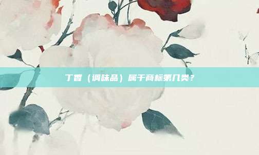 丁香(调味品)属于商标第几类?