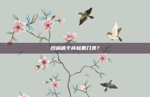 纱绢属于商标第几类？