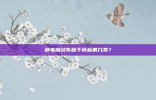 静电植绒布属于商标第几类？