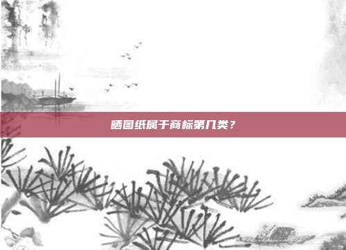 晒图纸属于商标第几类？