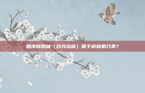 晒皮肤器械（日光浴床）属于商标第几类？