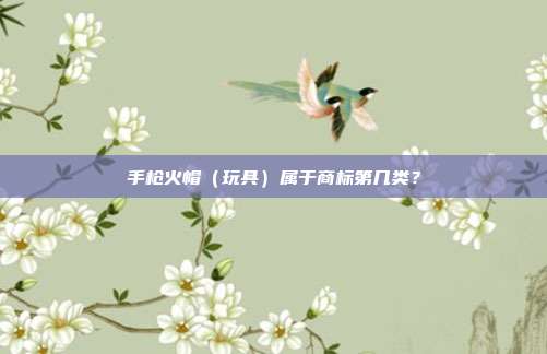 手枪火帽（玩具）属于商标第几类？