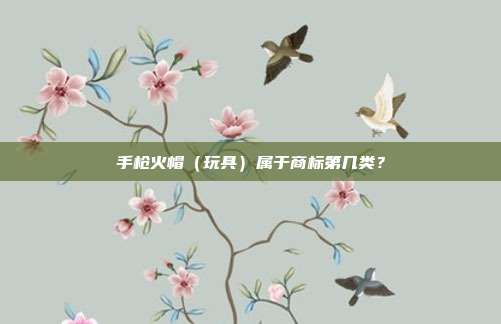 手枪火帽（玩具）属于商标第几类？