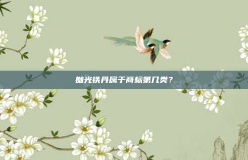 抛光铁丹属于商标第几类？