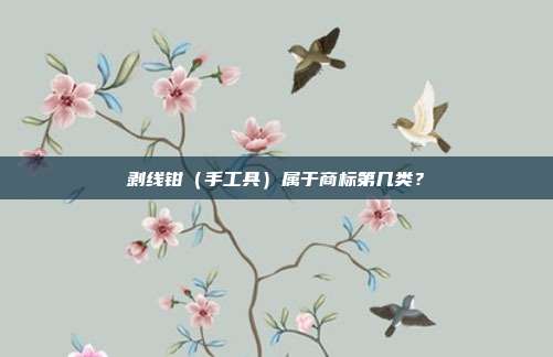 剥线钳（手工具）属于商标第几类？