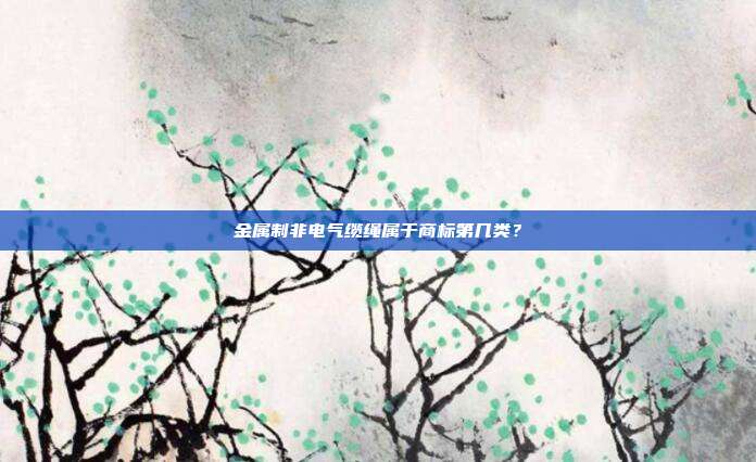 金属制非电气缆绳属于商标第几类？