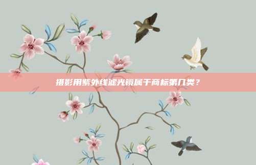 摄影用紫外线滤光镜属于商标第几类？