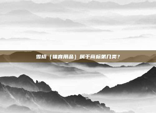 雪橇（体育用品）属于商标第几类？
