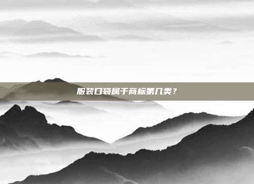 服装口袋属于商标第几类？