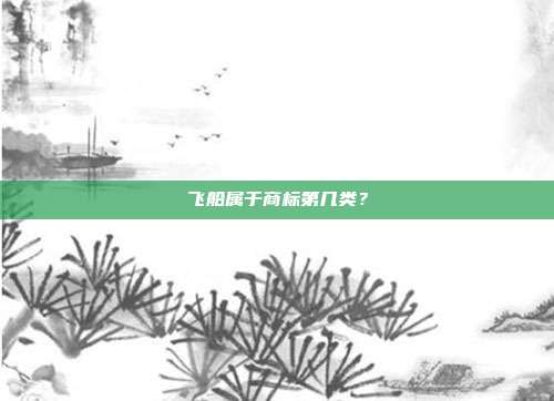 飞船属于商标第几类？