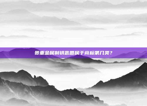 贵重金属制钥匙圈属于商标第几类？