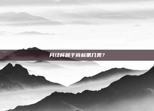 月经杯属于商标第几类?